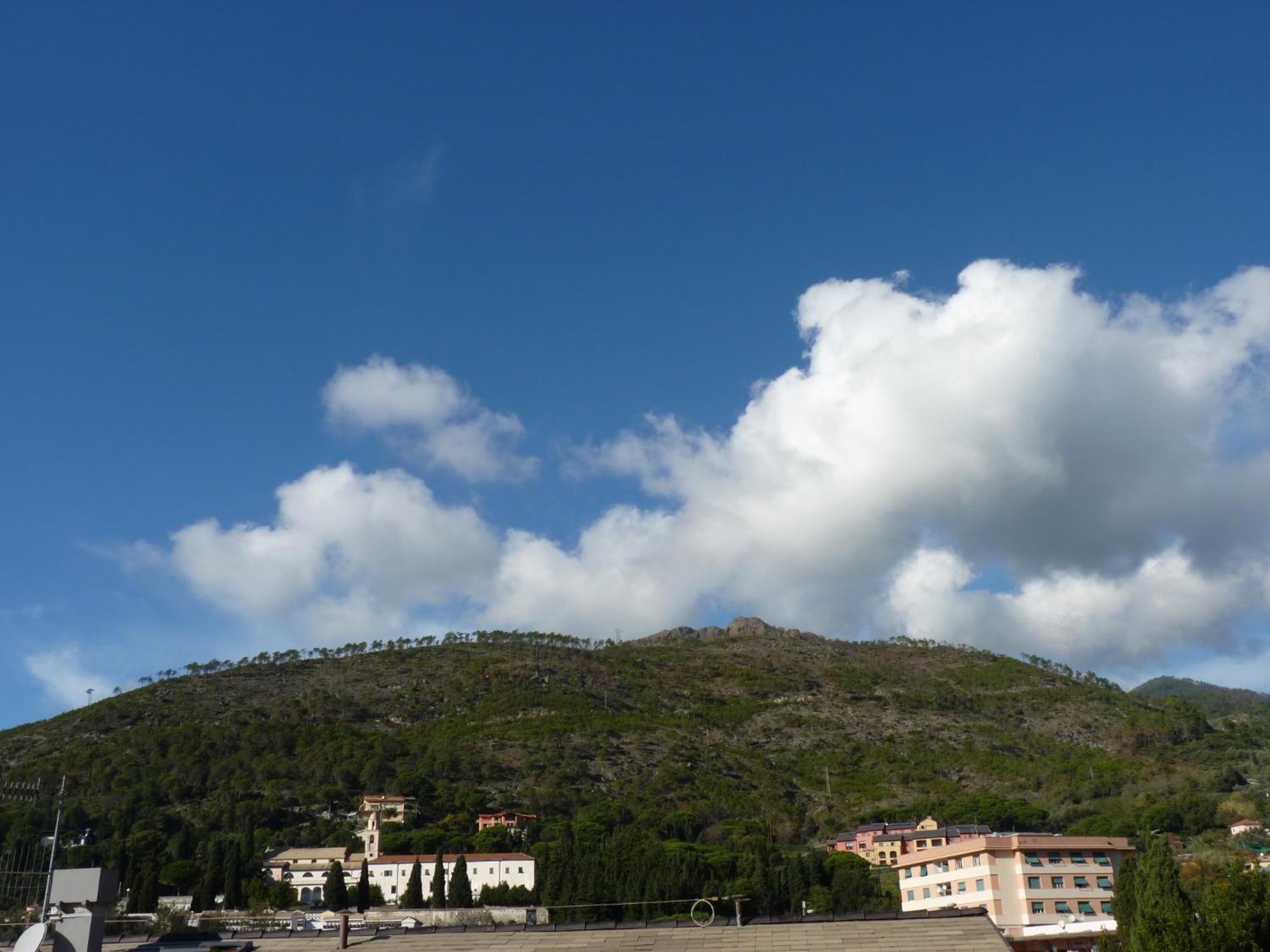La Gerbera Otel Levanto Dış mekan fotoğraf