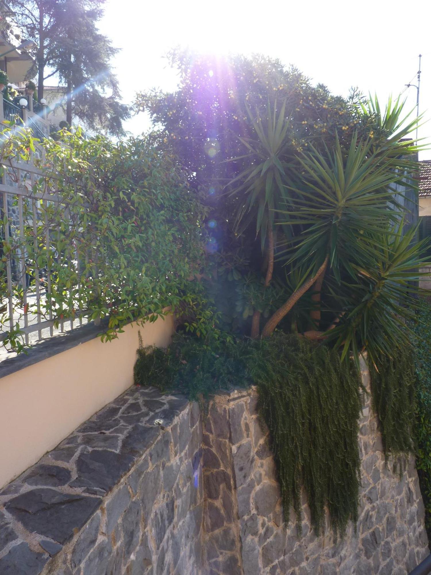 La Gerbera Otel Levanto Dış mekan fotoğraf