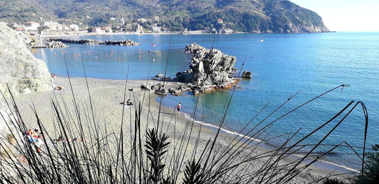 La Gerbera Otel Levanto Dış mekan fotoğraf