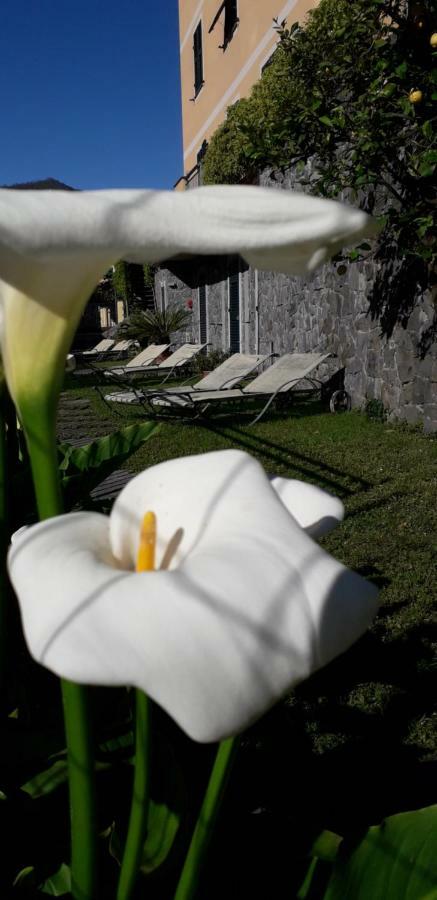 La Gerbera Otel Levanto Dış mekan fotoğraf